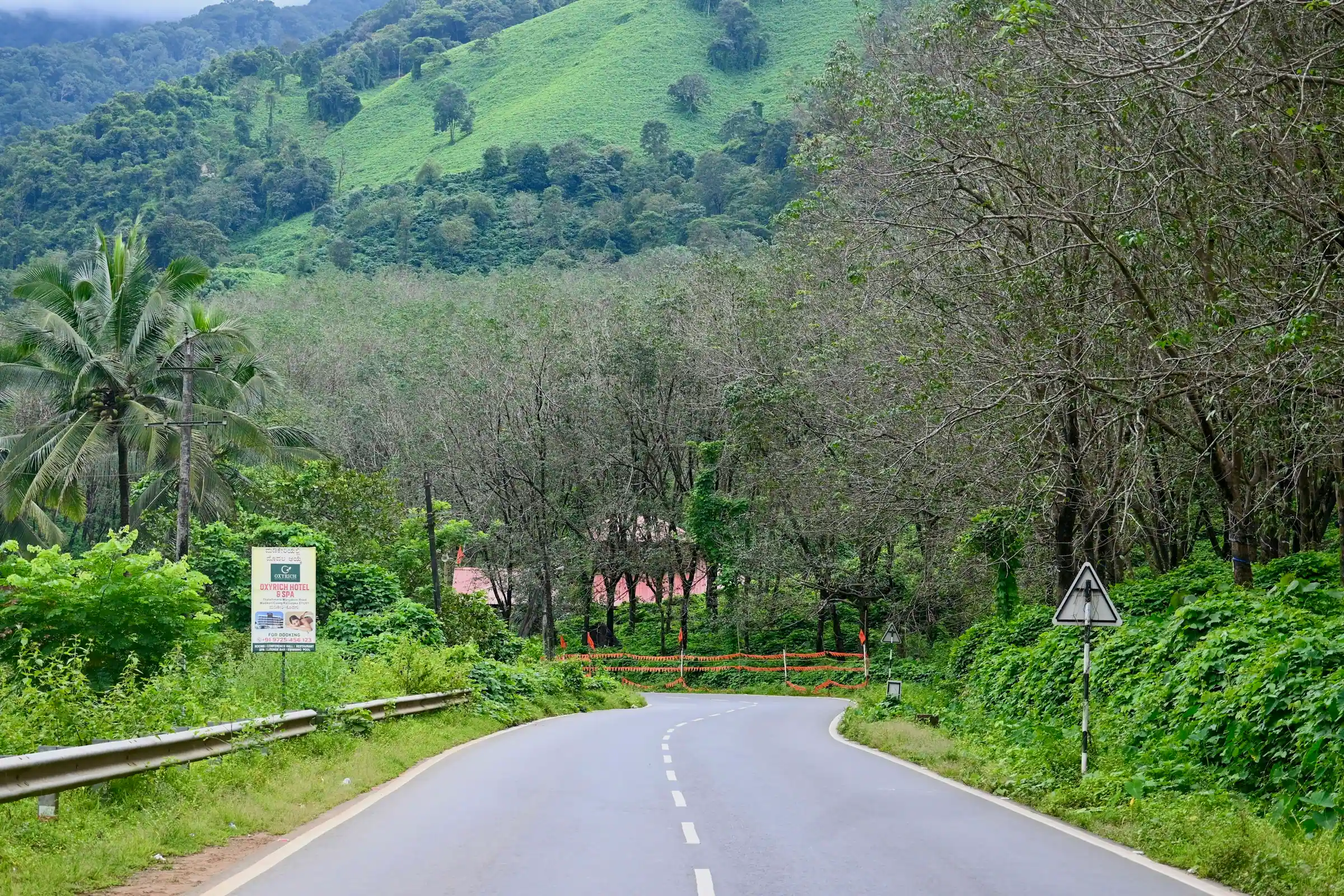 Eine Straße durch ein grünes Tal in Coorg