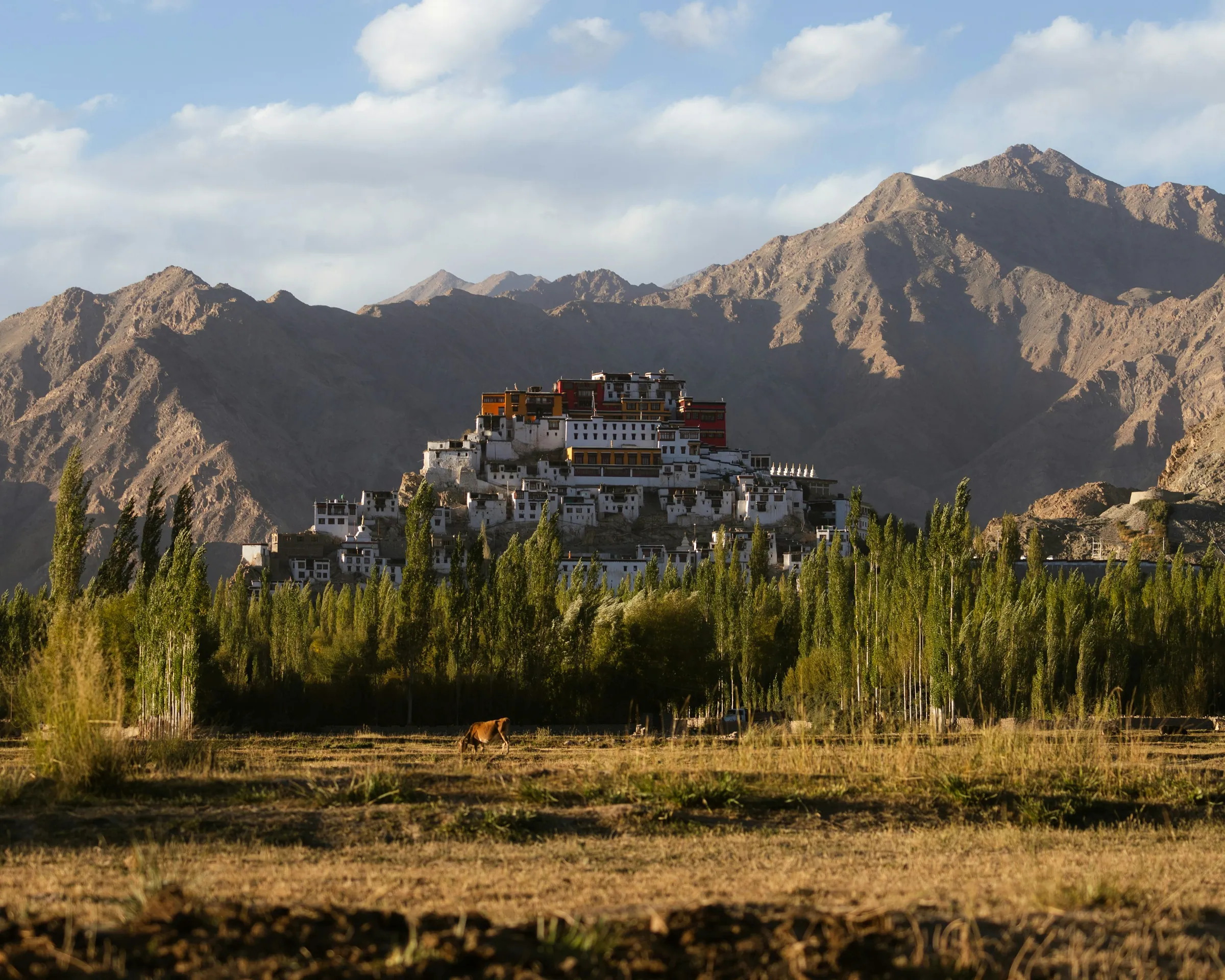 Ein Kloster auf einem Hügel zwischen den Bergen Ladakhs