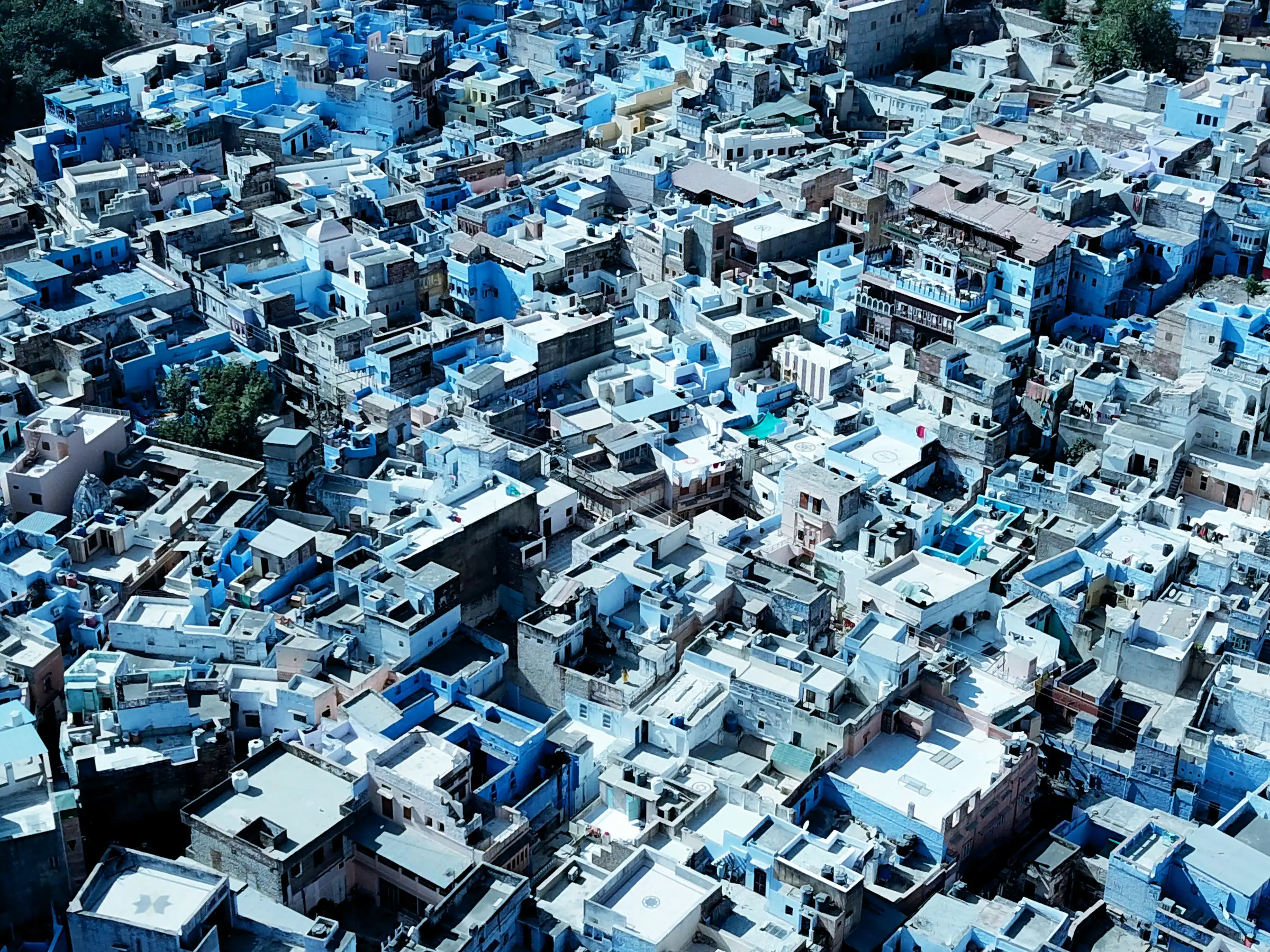 Die blauen Häuser von Jodhpur von oben