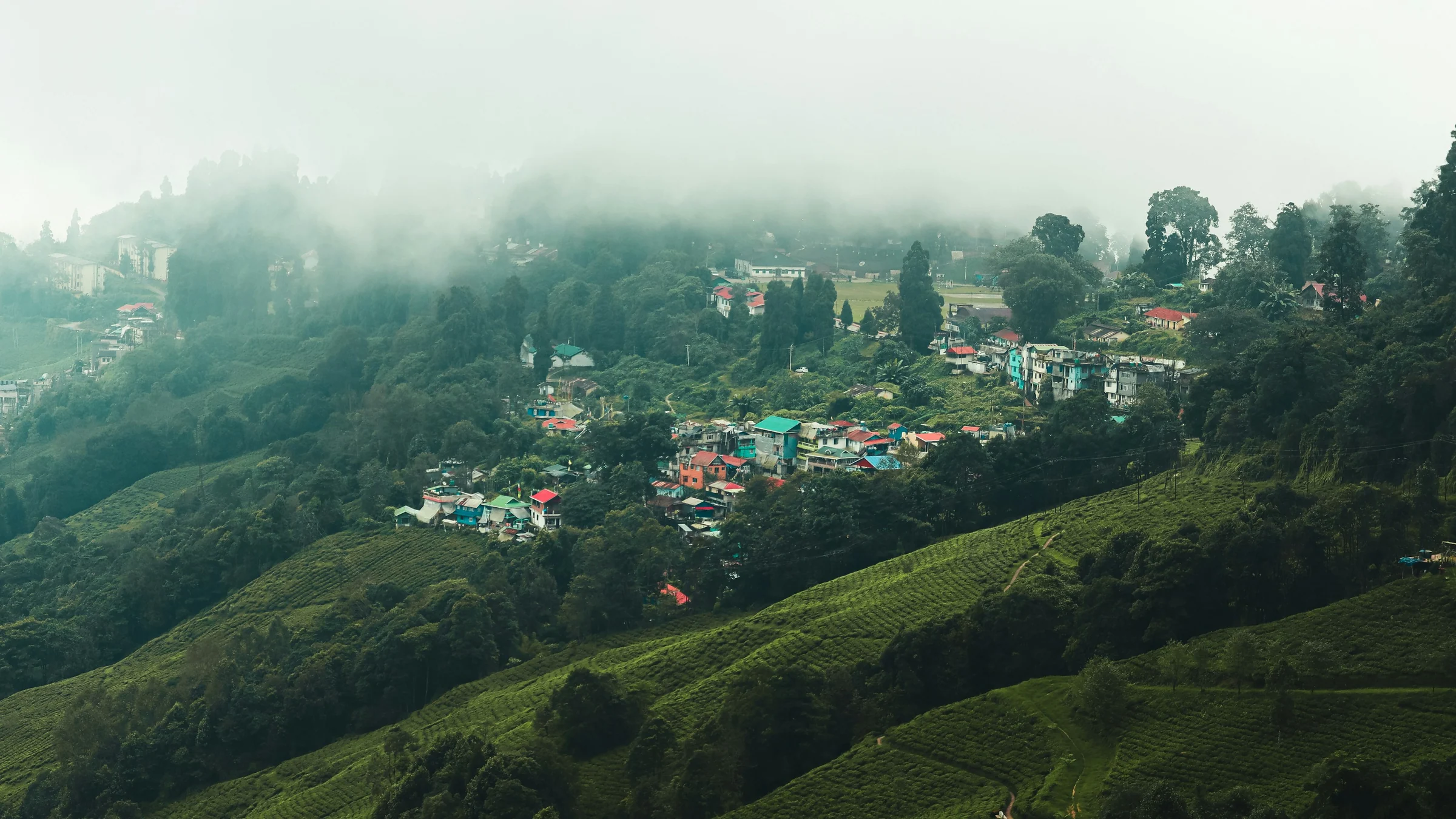 Ein Bergort im Nebel bei Darjeeling