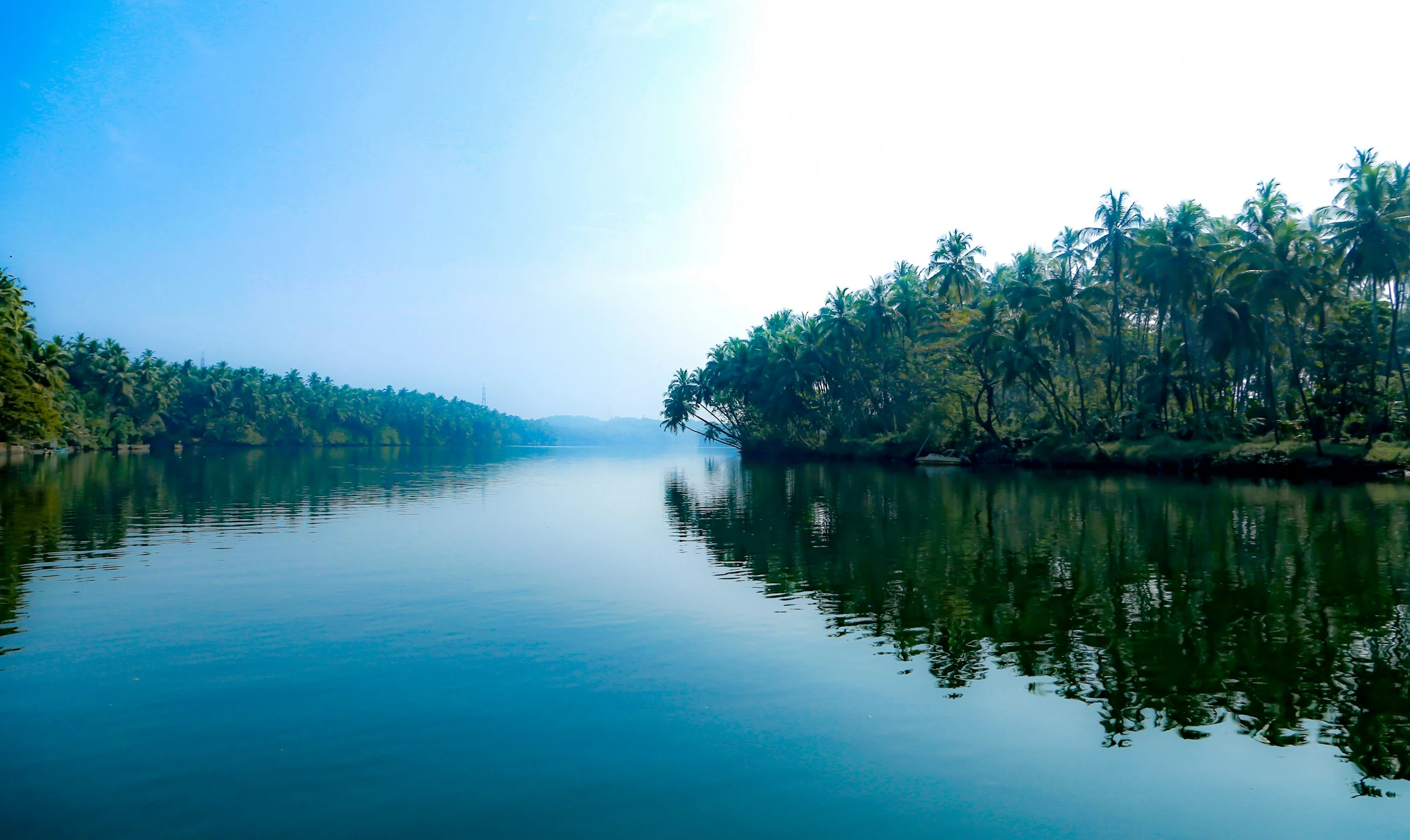 Palmen, die sich im stillen Wasser spiegeln, Kozhikode