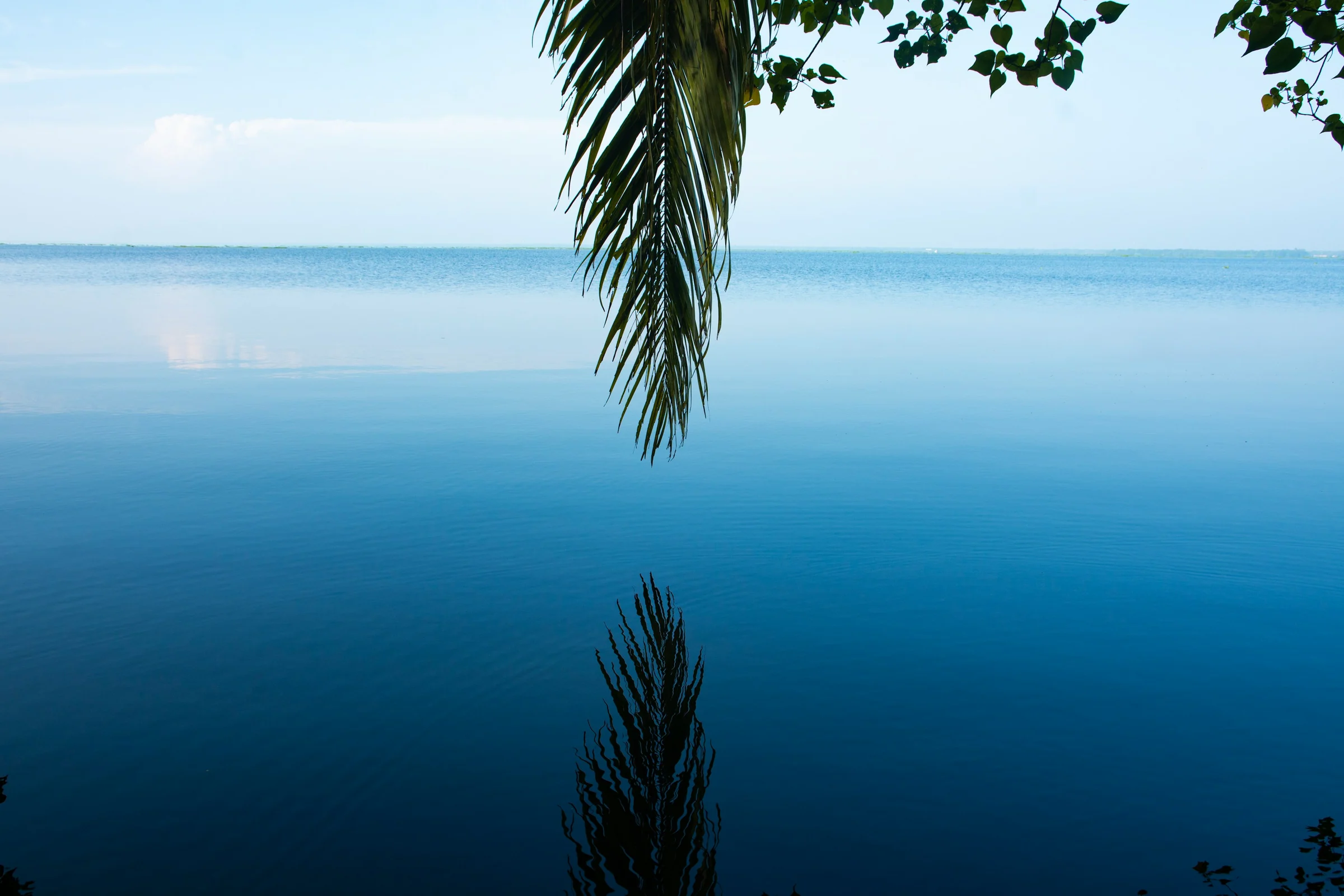 Morgen auf dem Backwater bei Kumarakom