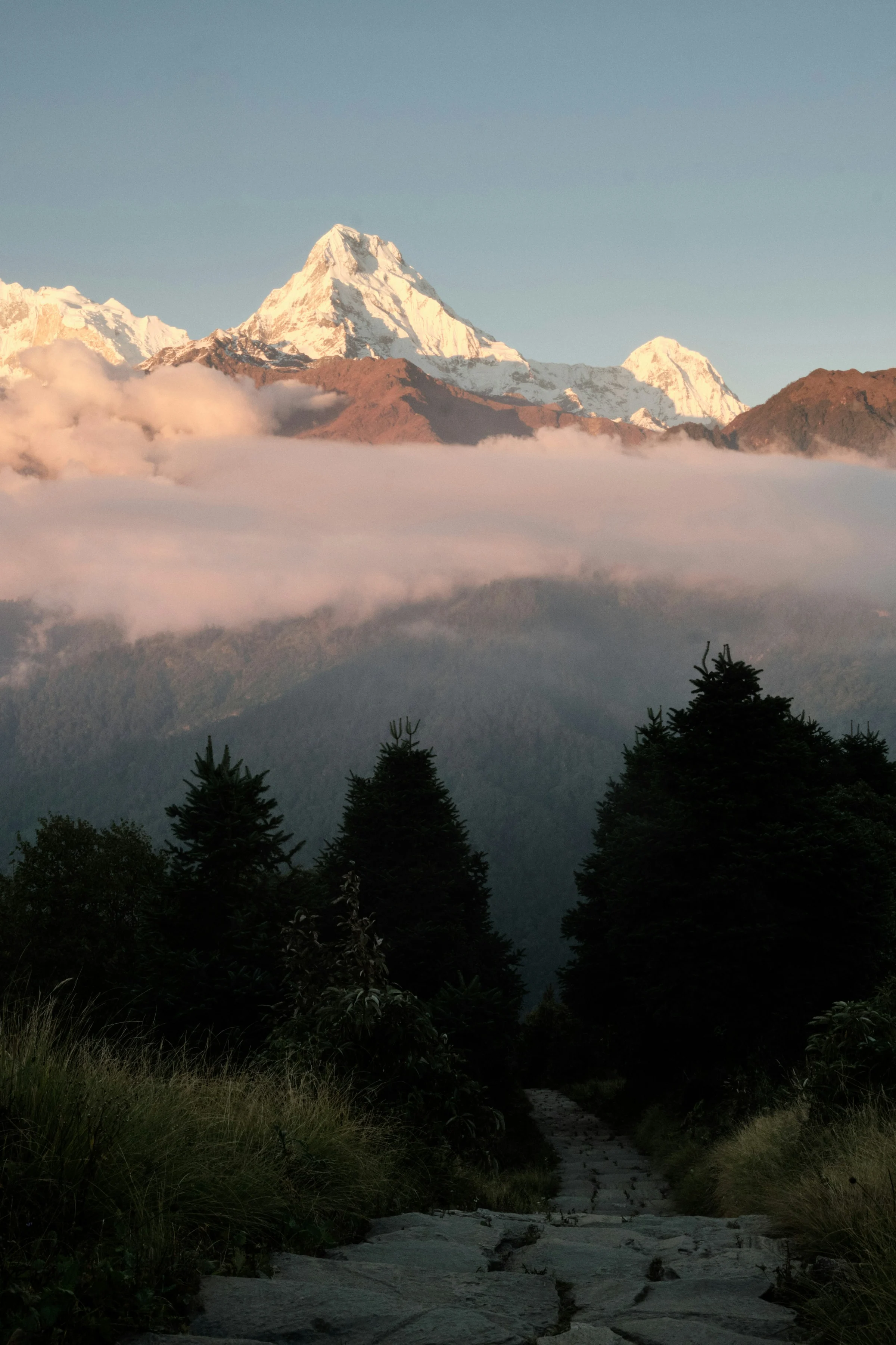 Ein Pfad auf dem Poon Hill, Nepal
