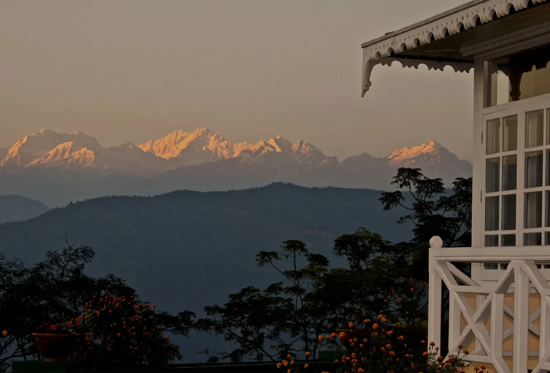 Glenburn Tea Estate, Foto 2