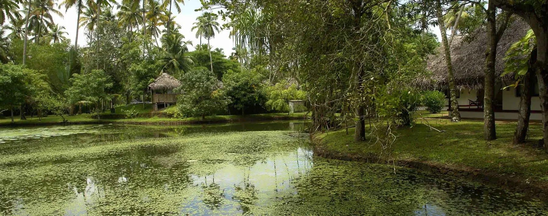 Marari Beach Resort, Foto 2
