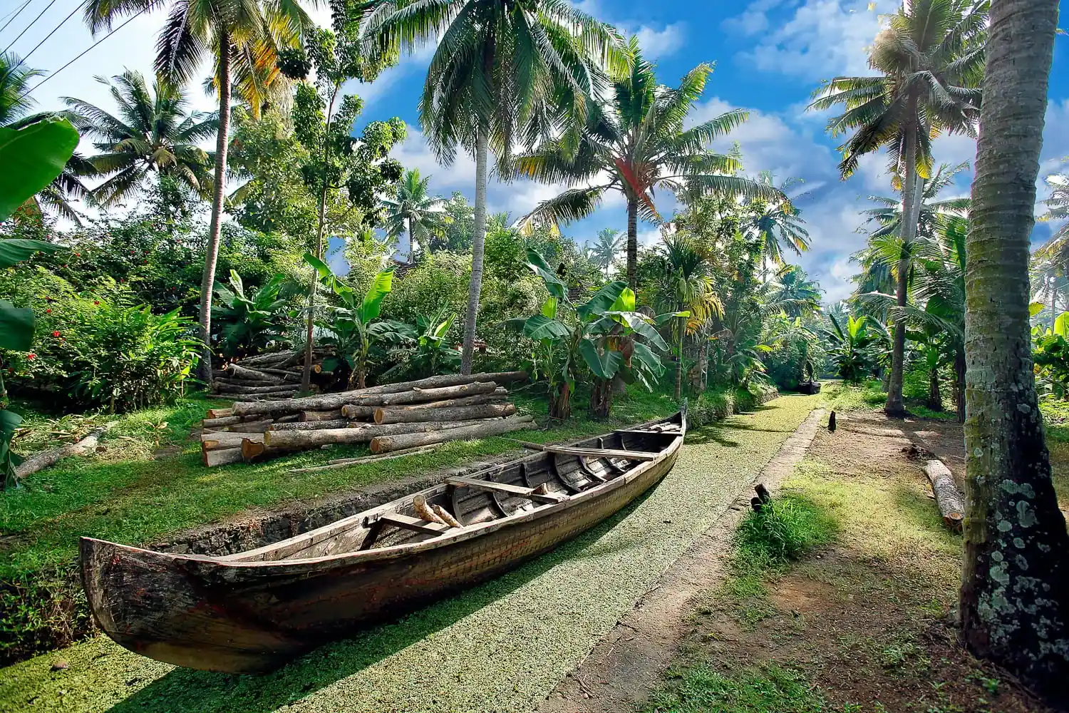 Philipkutty's Farm, photograph 3
