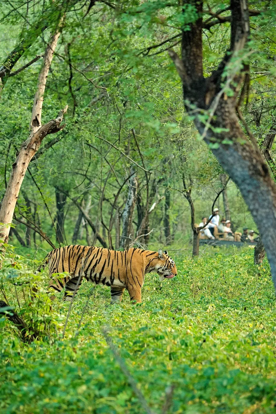Sher Bagh, photograph 7