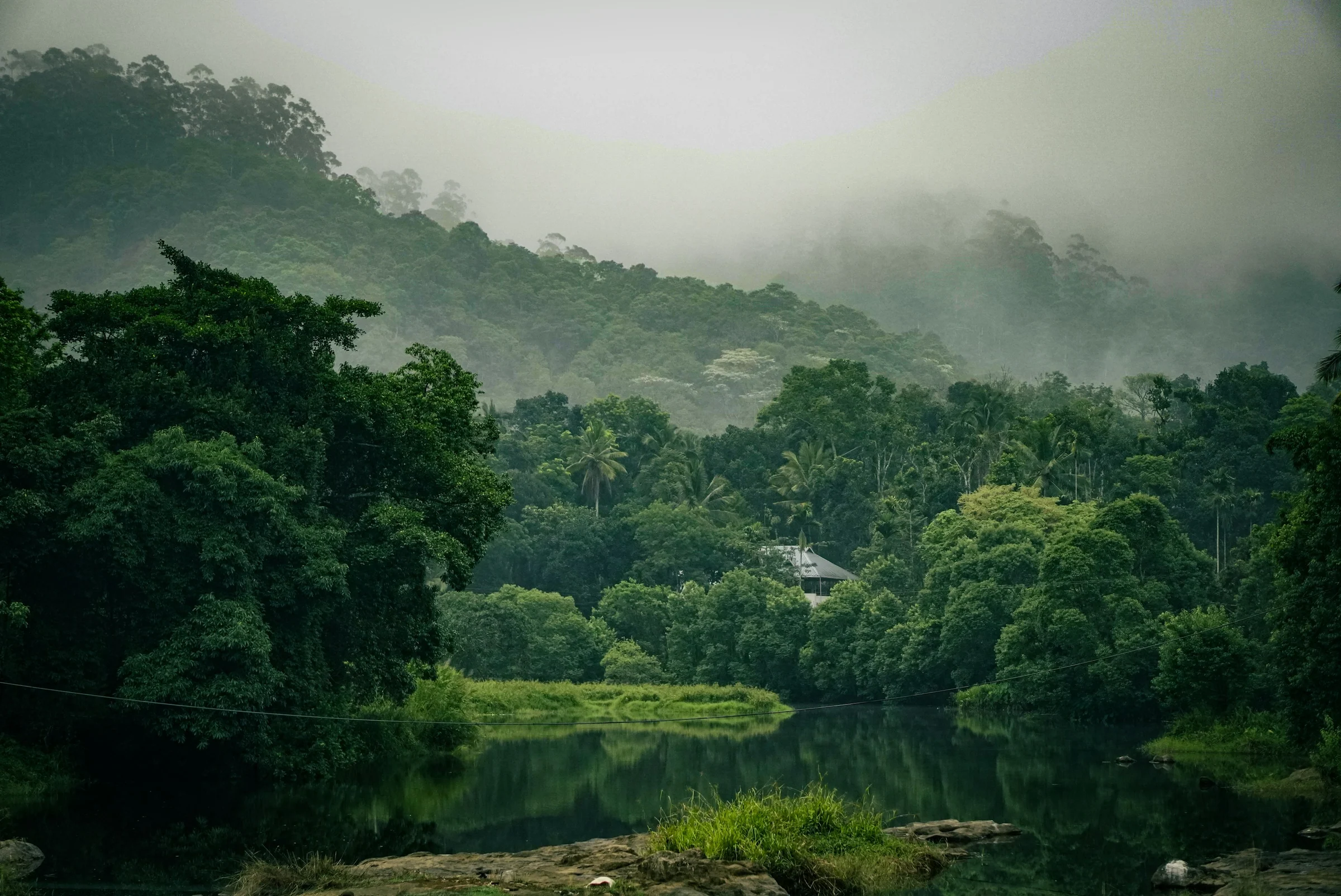 Wasser und Wald bei Thekkady